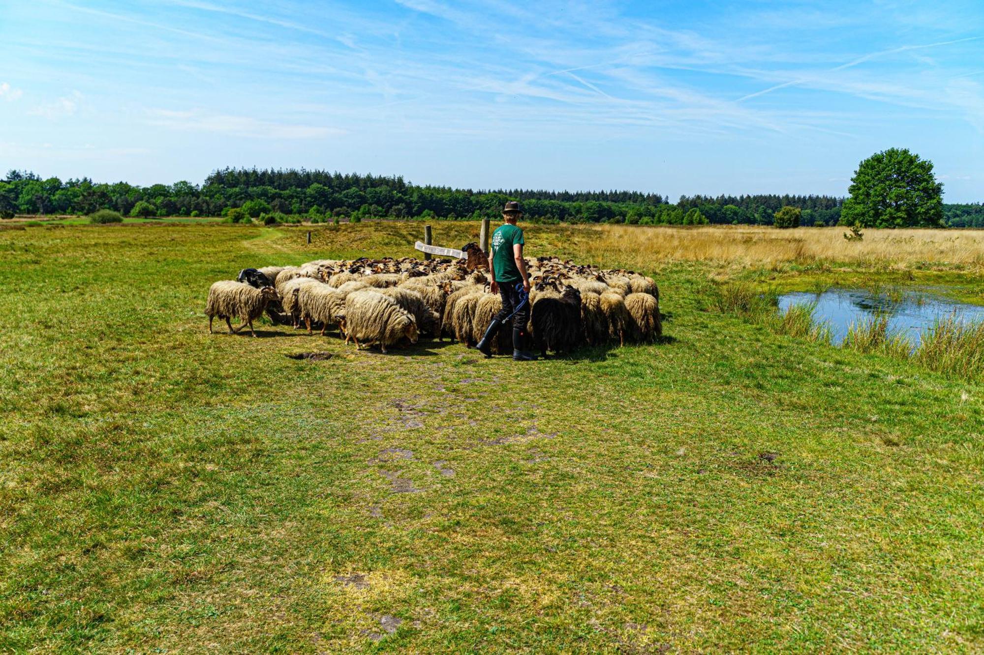Mini Camping Drentse Monden Nieuw-Weerdinge 외부 사진