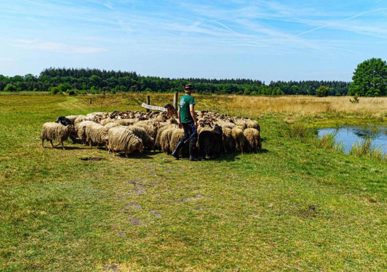 Mini Camping Drentse Monden Nieuw-Weerdinge 외부 사진